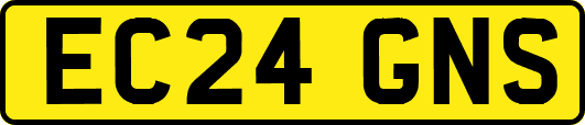 EC24GNS