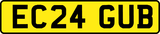 EC24GUB