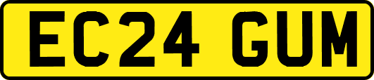 EC24GUM