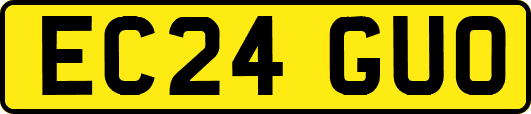 EC24GUO