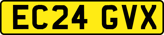 EC24GVX