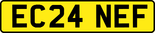 EC24NEF