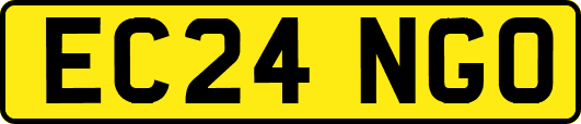 EC24NGO