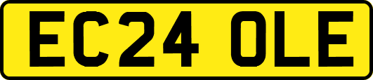 EC24OLE