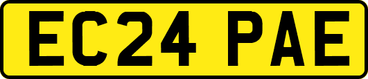 EC24PAE