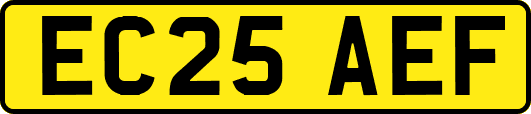 EC25AEF
