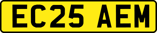 EC25AEM