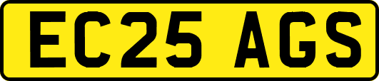 EC25AGS
