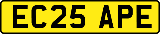 EC25APE
