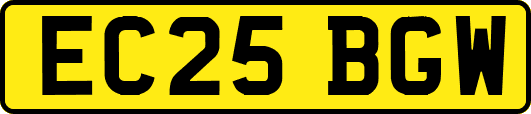 EC25BGW