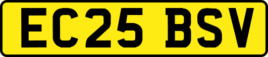 EC25BSV