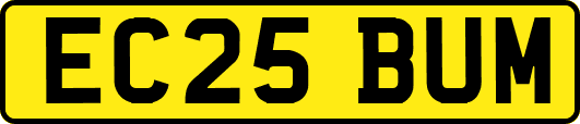 EC25BUM