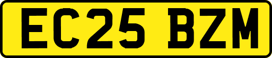EC25BZM