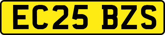EC25BZS