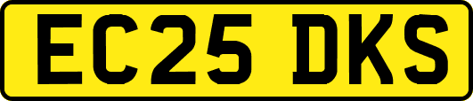 EC25DKS