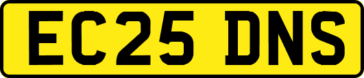 EC25DNS