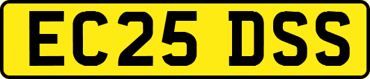 EC25DSS
