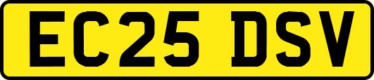 EC25DSV