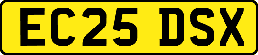 EC25DSX