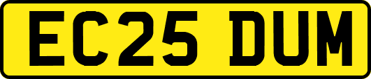EC25DUM