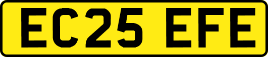 EC25EFE