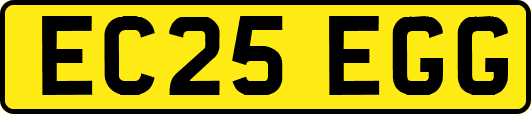 EC25EGG