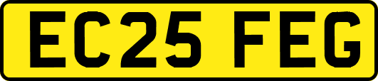 EC25FEG