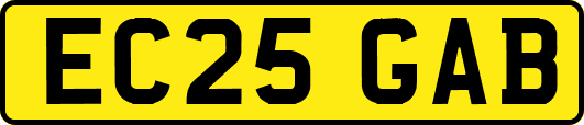 EC25GAB