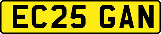 EC25GAN