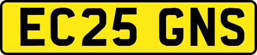 EC25GNS