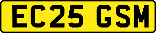 EC25GSM