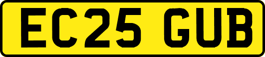 EC25GUB