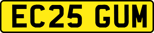 EC25GUM