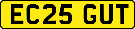 EC25GUT