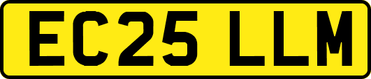 EC25LLM