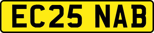 EC25NAB
