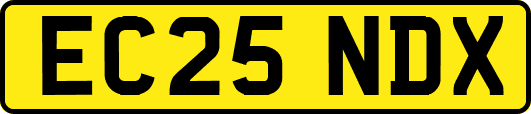 EC25NDX