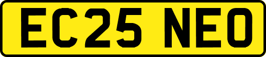 EC25NEO