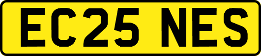 EC25NES