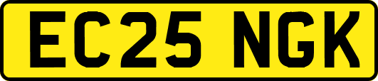 EC25NGK