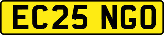 EC25NGO