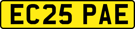 EC25PAE