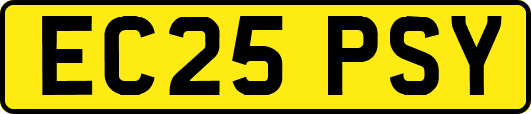 EC25PSY