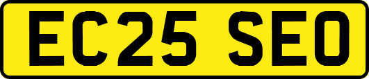 EC25SEO