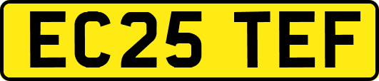 EC25TEF