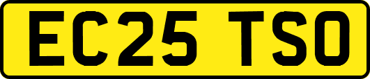 EC25TSO