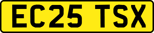 EC25TSX