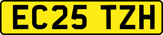 EC25TZH