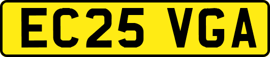 EC25VGA