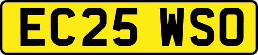 EC25WSO